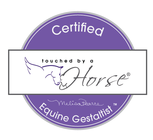 Equine Gestaltist@2x